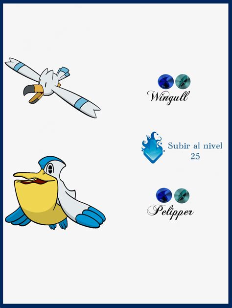 wingull evolution level.
